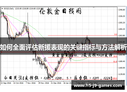 如何全面评估新援表现的关键指标与方法解析