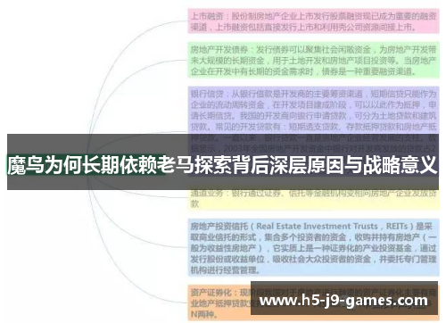 魔鸟为何长期依赖老马探索背后深层原因与战略意义