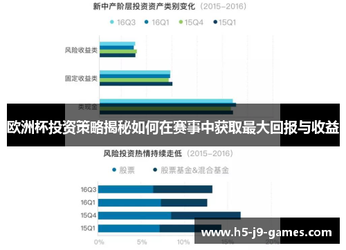 欧洲杯投资策略揭秘如何在赛事中获取最大回报与收益